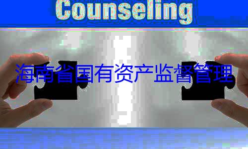 委副书记王查调查资产监督管理委员会党有福接受审海南省国有